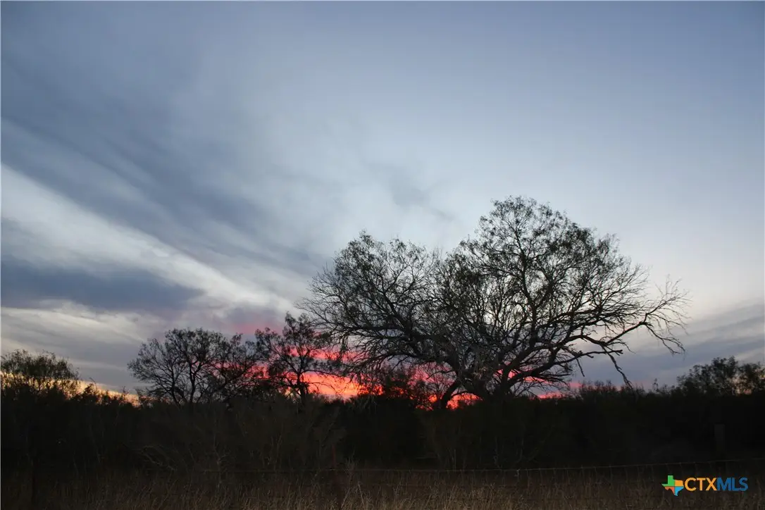 0000 Cr 339, Jourdanton, TX 78026 - #1