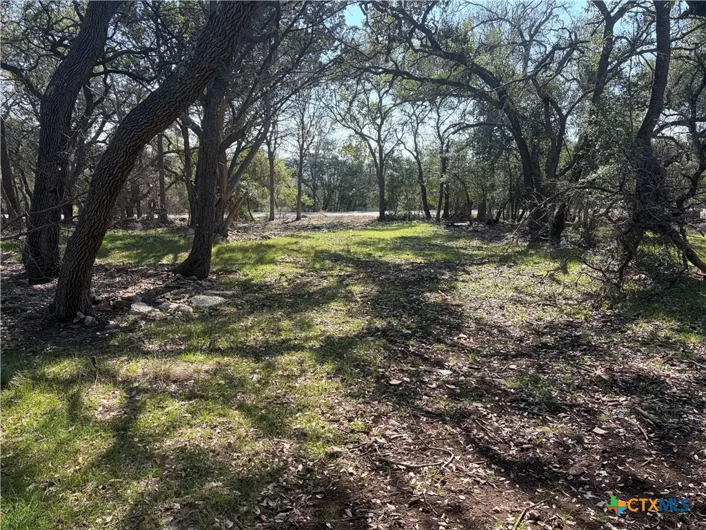 2883 Wegner Road, New Braunfels, TX 78132 - #1