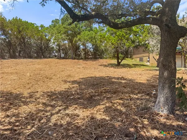 1107 High Point Lane, Spring Branch, TX 78070