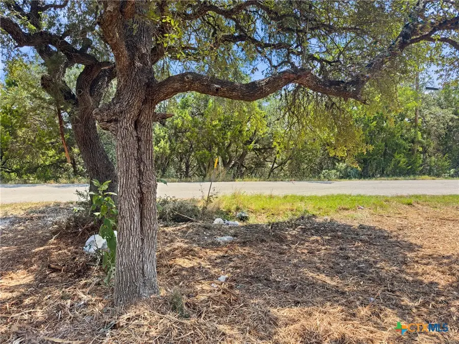 1107 High Point Lane, Spring Branch, TX 78070 - #2