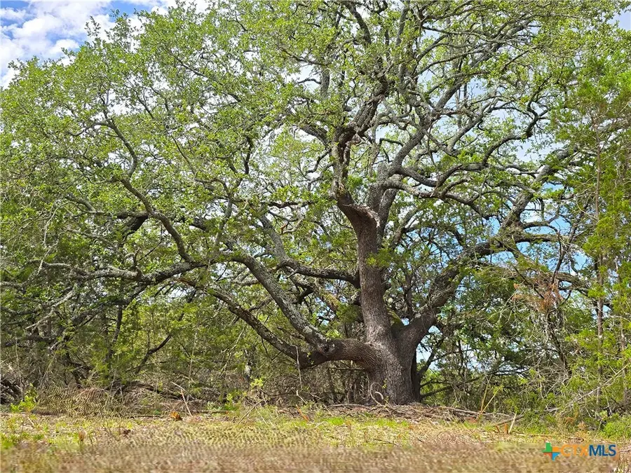 725 Cr 206, Burnet, TX 76811 - #2