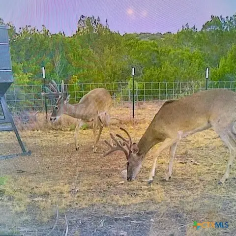 TBD Van Cleef Rd, Del Rio Northeast, TX 78837 - #3