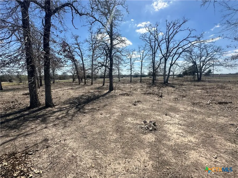 TBD W I 10 Frontage Road, Flatonia, TX 78941 - #2