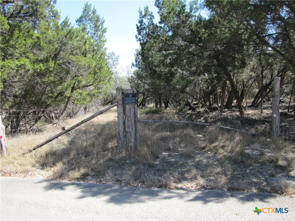 678 Cannan Road, Canyon Lake, TX 78133 - #1