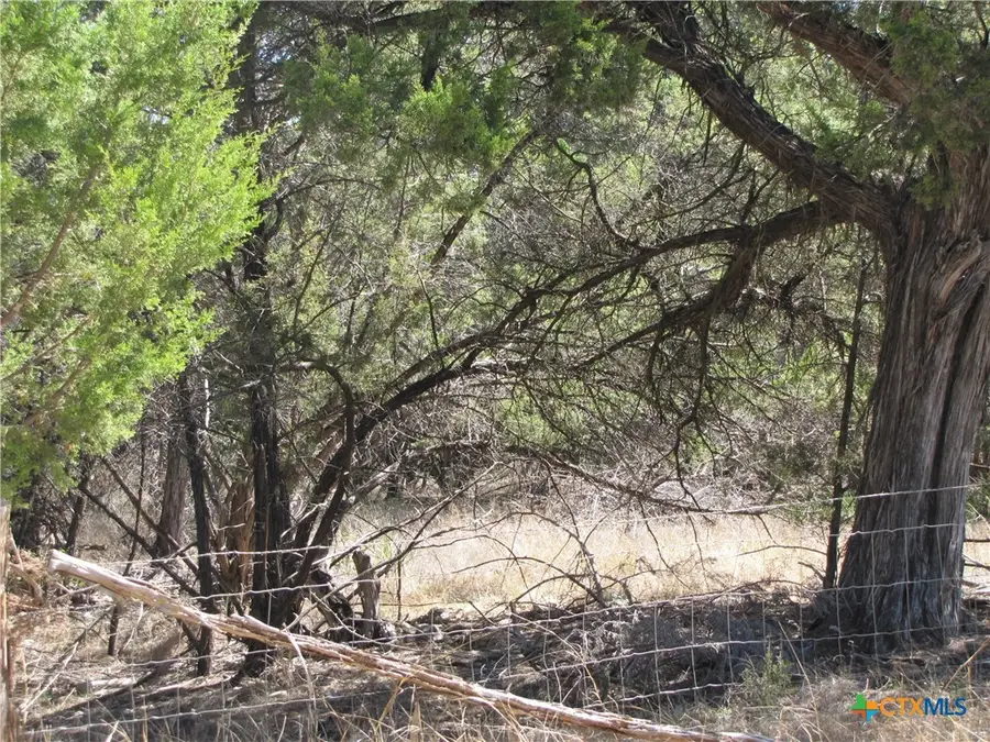 678 Cannan Road, Canyon Lake, TX 78133 - #3