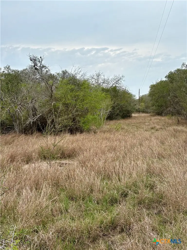 00 Post Oak Rd, Goliad, TX 77963 - #3