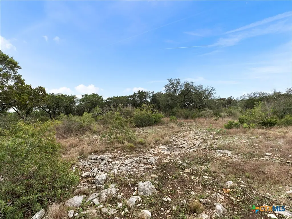 Lot 14 Private Road 2777, Mico, TX 78056 - #1
