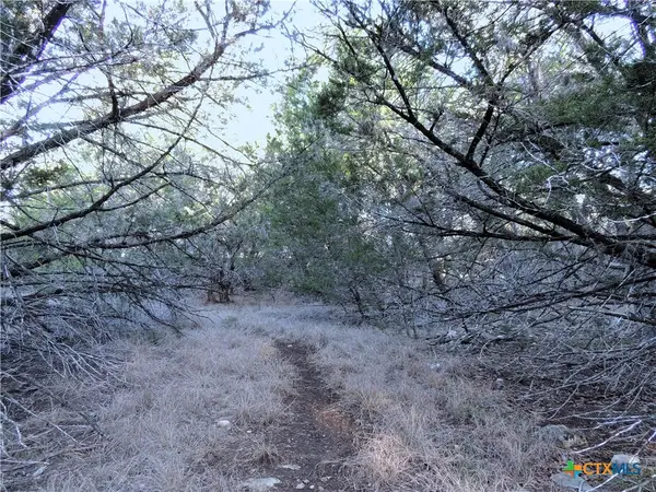 39 Serenade Circle, Wimberley, TX 78676