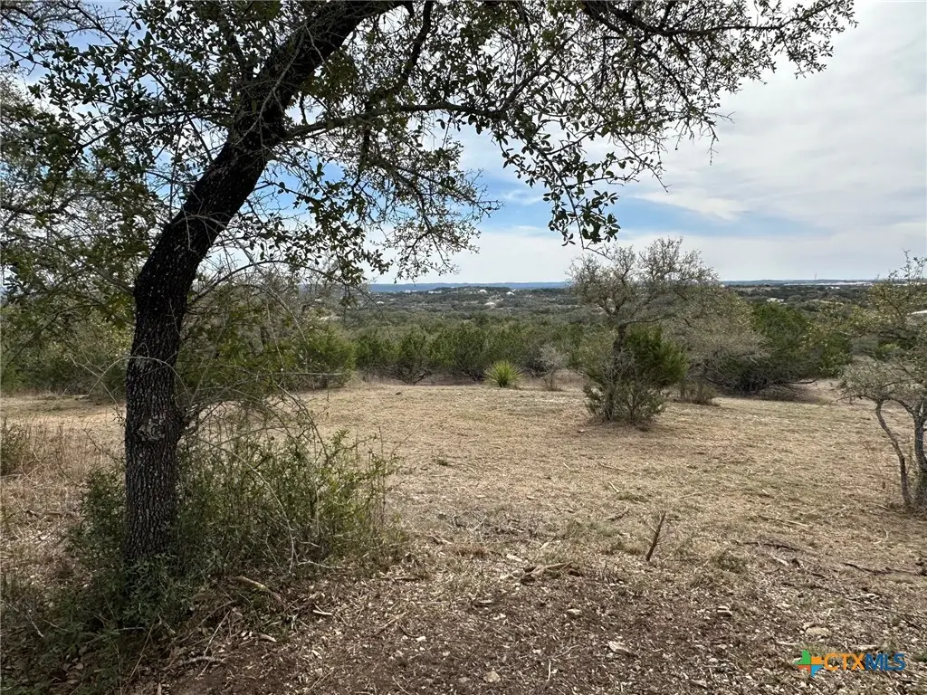 344 Bosque Ridge, Spring Branch, TX 78070 - #1