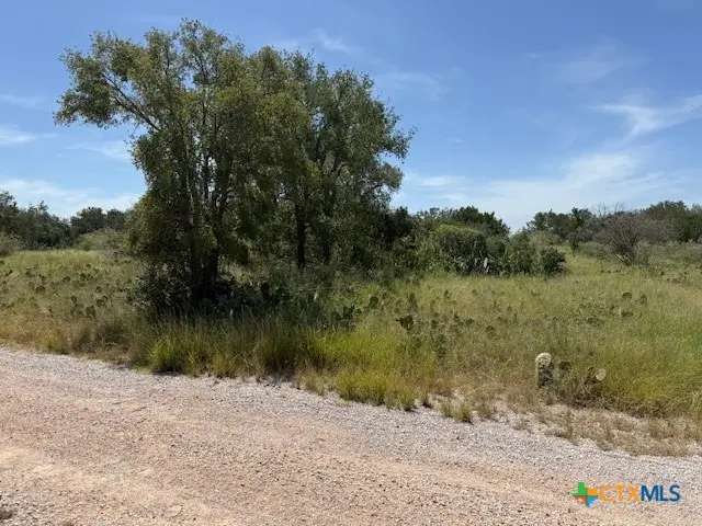 112 Chappel Street, Burnet, TX 78611 - #1