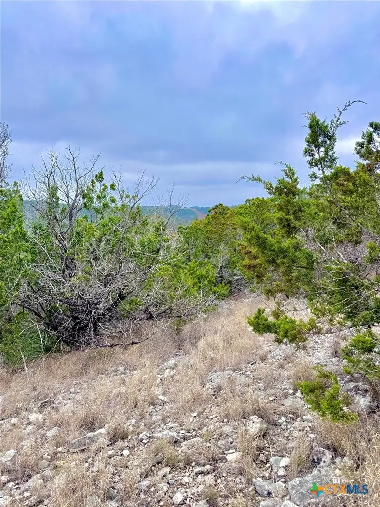 424 Armadillo Trail Drive, Comfort, TX 78013 - #3