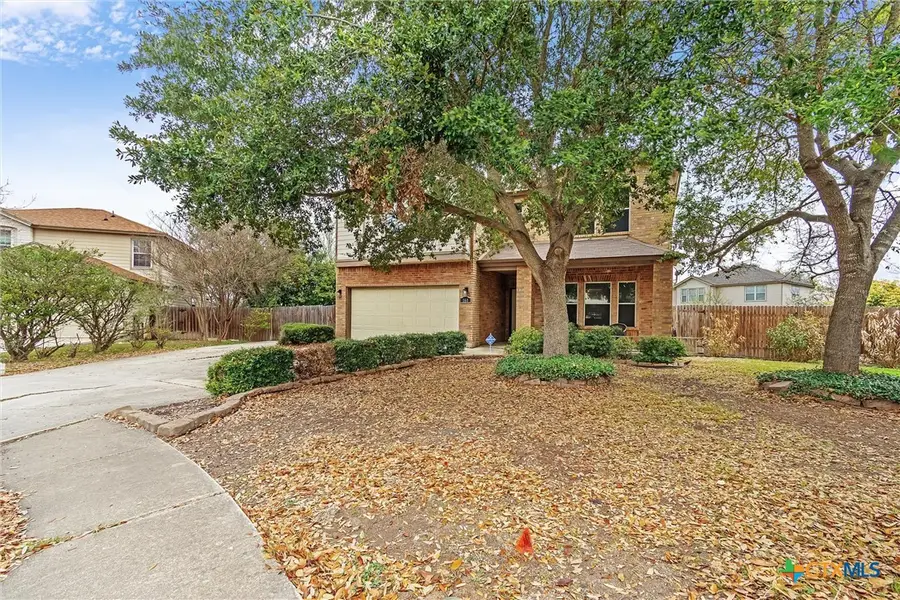 160 Japonica Court, Kyle, TX 78640 - #3