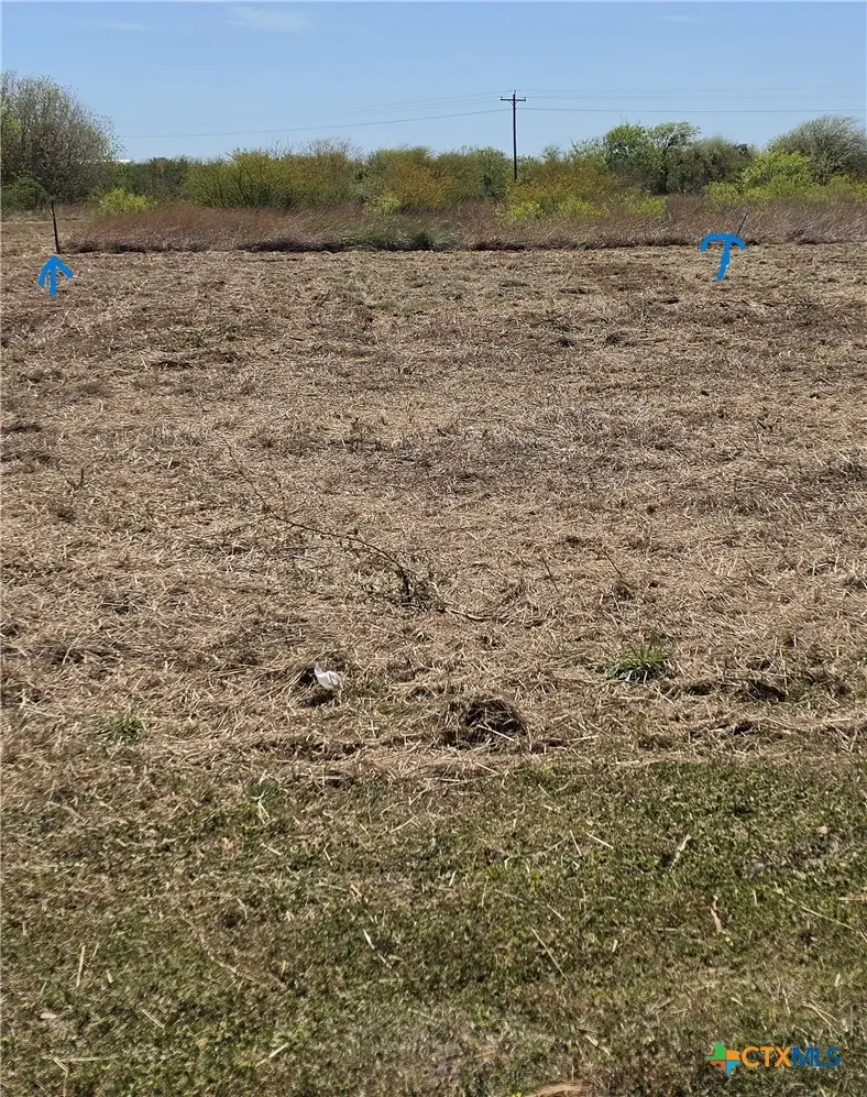 1609 W Cleveland Avenue, Seadrift, TX 77983 - #2