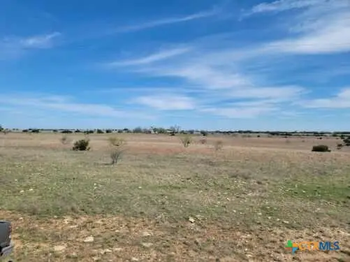 Lot 25 Private Road 4220, Hamilton, TX 76566 - #3