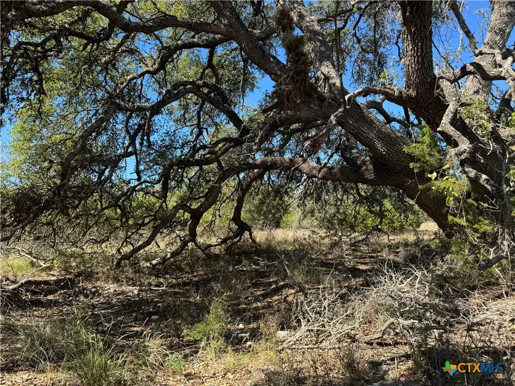 1717 Axis Circle, Fredericksburg, TX 78624 - #1
