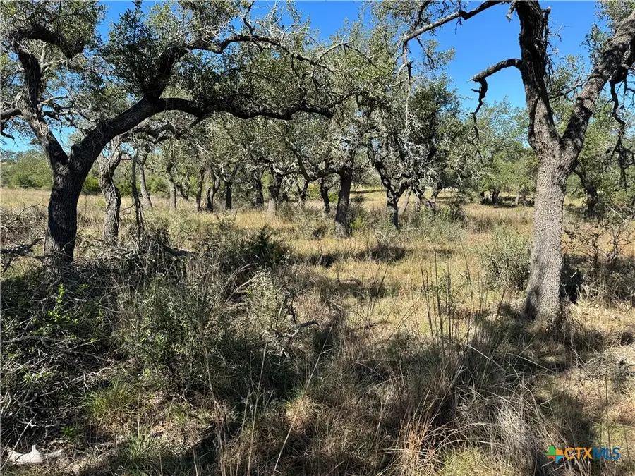 1717 Axis Circle, Fredericksburg, TX 78624 - #2