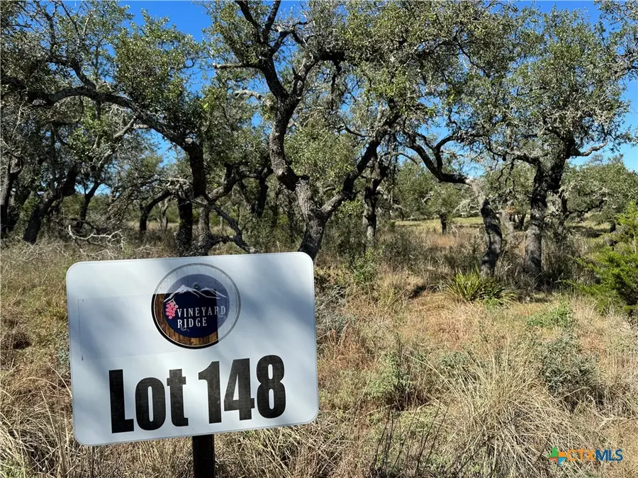 1717 Axis Circle, Fredericksburg, TX 78624 - #3