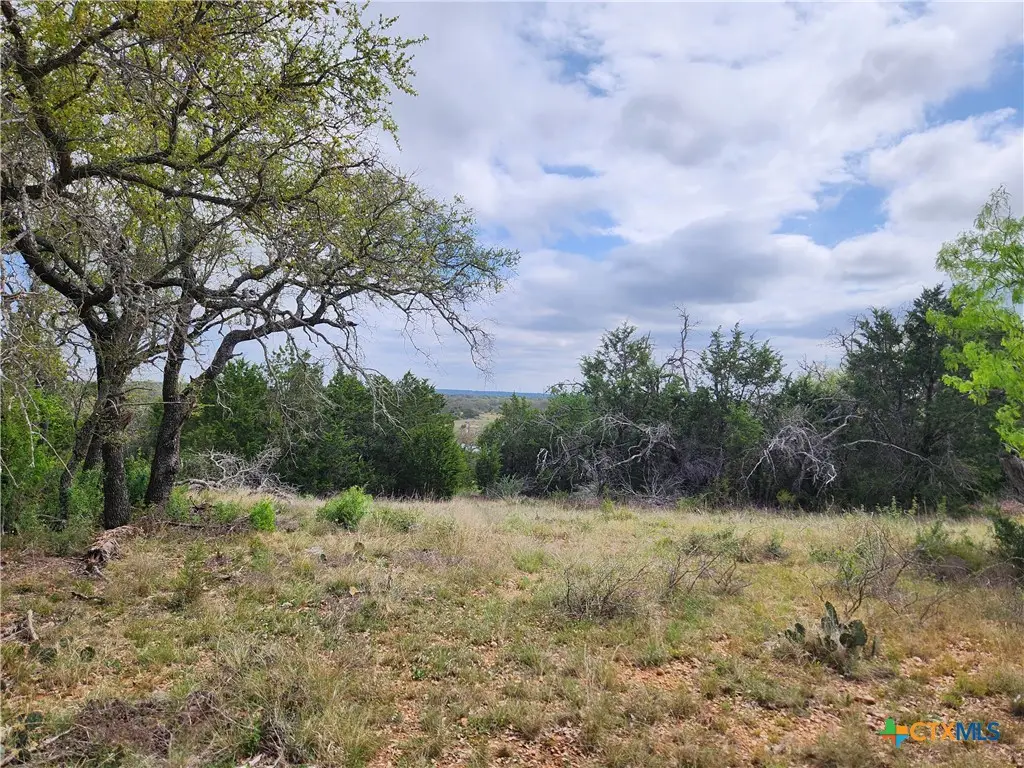 TBD County Road 402, Goldthwaite, TX 76844 - #1