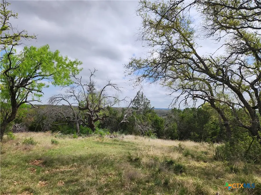 TBD County Road 402, Goldthwaite, TX 76844 - #2