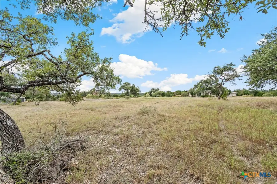 1230 Alsace, New Braunfels, TX 78132 - #3
