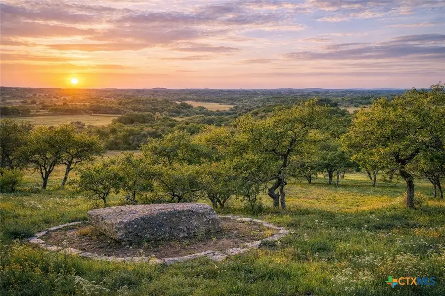 232 Crooked Oak Lane, Round Mountain, TX 78663 - #3