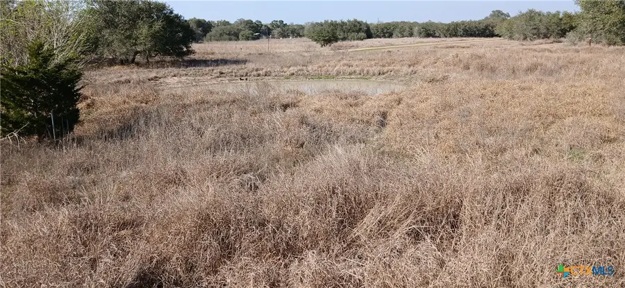 737 Private Road 1065, Hallettsville, TX 77964 - #3