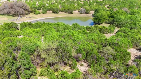 120 River Shoals Drive, Kempner, TX 76539