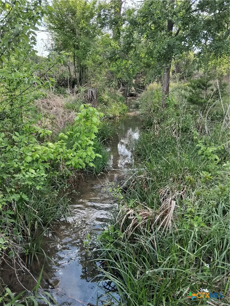 14450 Fm 2843, Salado, TX 76571 - #2