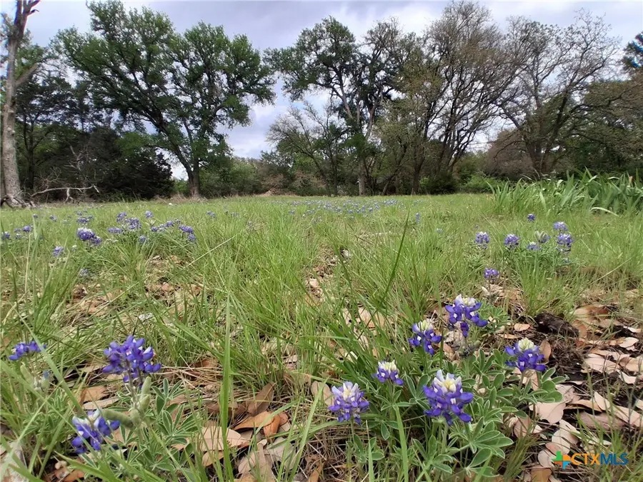 14450 Fm 2843, Salado, TX 76571 - #3