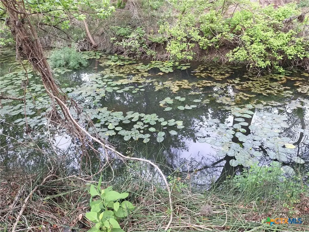 474 N Guenther Avenue, New Braunfels, TX 78130 - #1