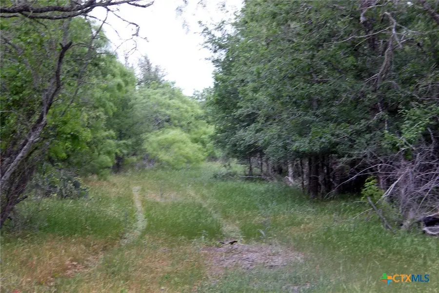 7887 Pettytown Road, Red Rock, TX 78662 - #3