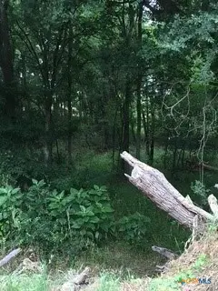 920 Mills Way, Seguin, TX 78155