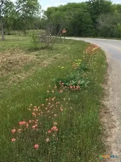 920 Mills Way, Seguin, TX 78155 - #2