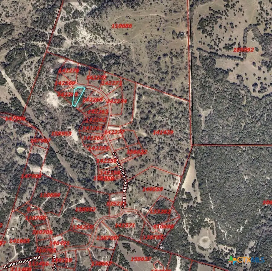 1113 Cedar Ridge Road, Gatesville, TX 76528 - #2