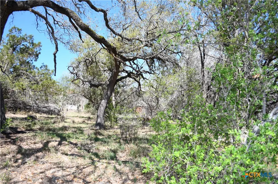 1361 Hidden Valley Drive, Spring Branch, TX 78070 - #1