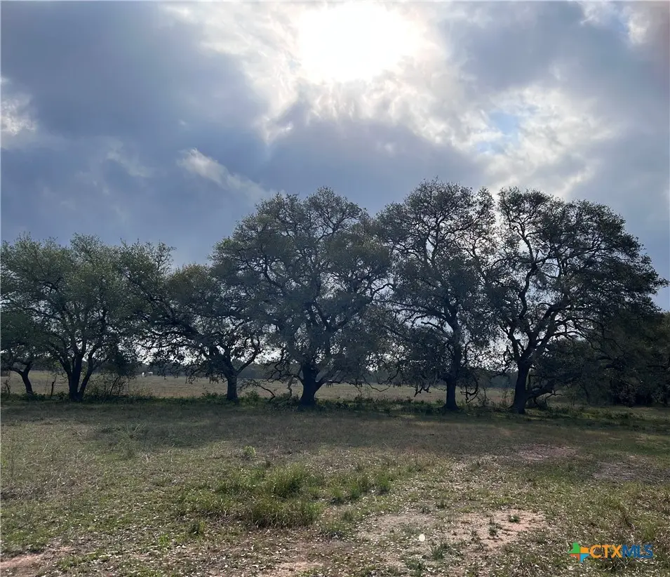 1022 County Road 438, Yoakum, TX 77995 - #1
