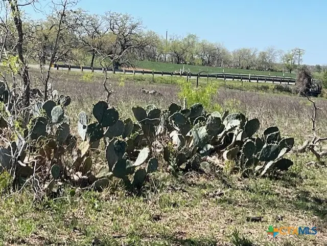 6611 Fm-1681, Stockdale, TX 78160 - #2