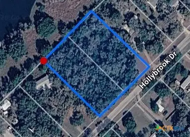 000 Hollybrook Drive, Inez, TX 77968