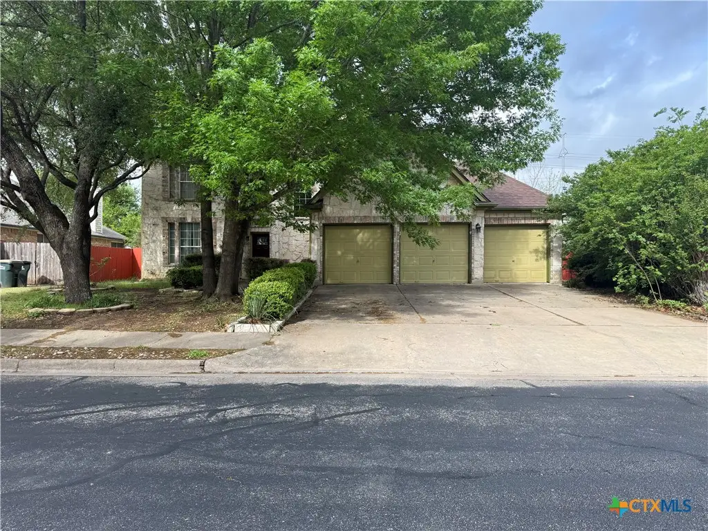 310 N Carriage Hills Drive, Georgetown, TX 78626 - #1