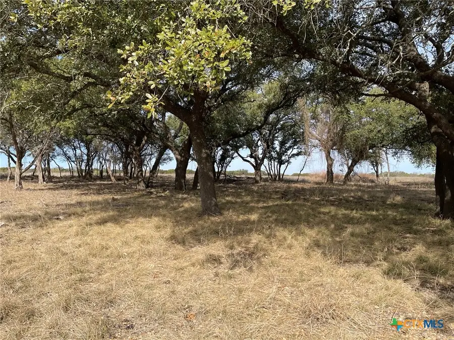 Lot 11 Fm 1690, Gatesville, TX 76528 - #3