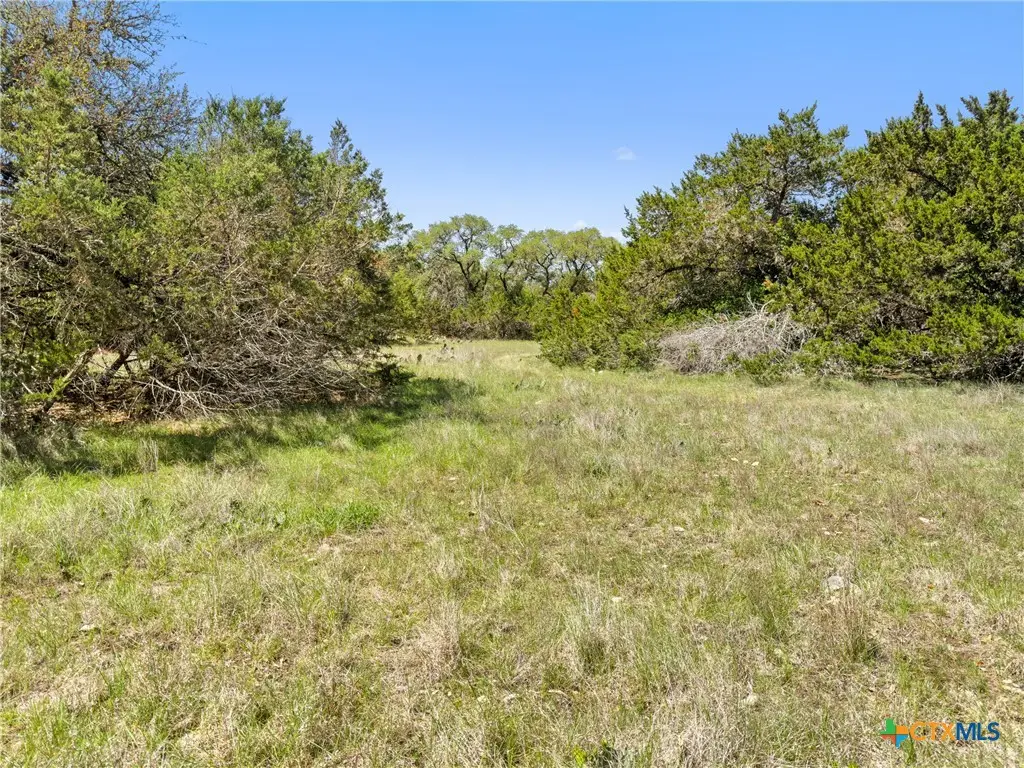 1510 Misty Lane, Spring Branch, TX 78070 - #1