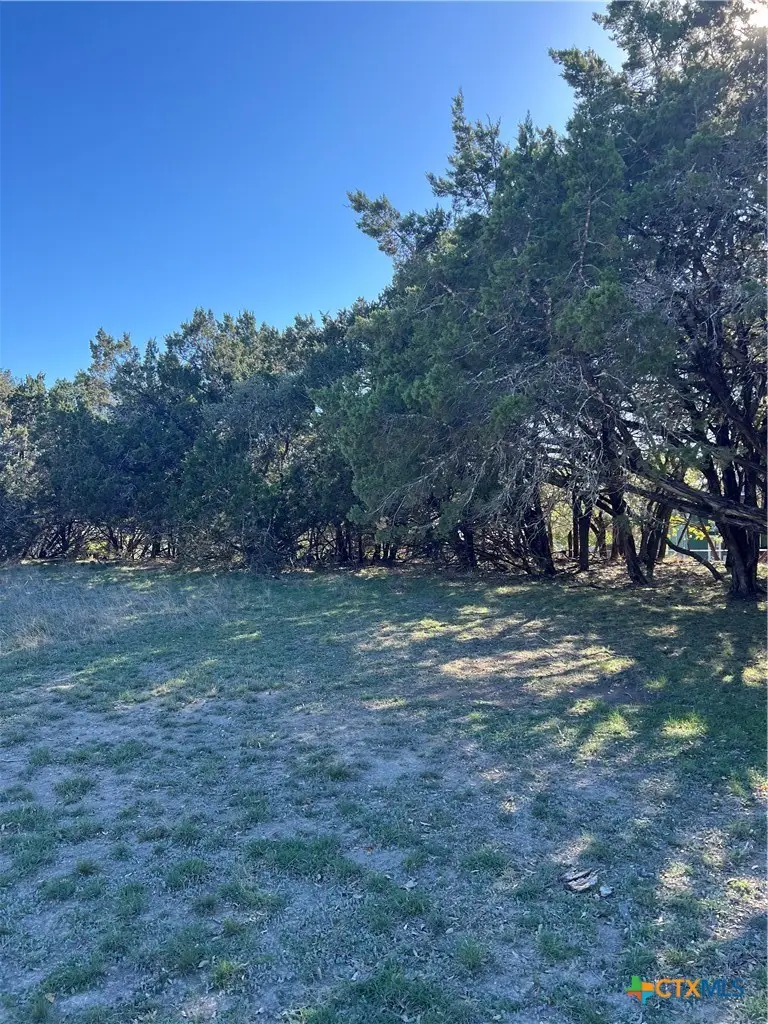 1309 and 1321 Lakeview Drive, Canyon Lake, TX 78133 - #3