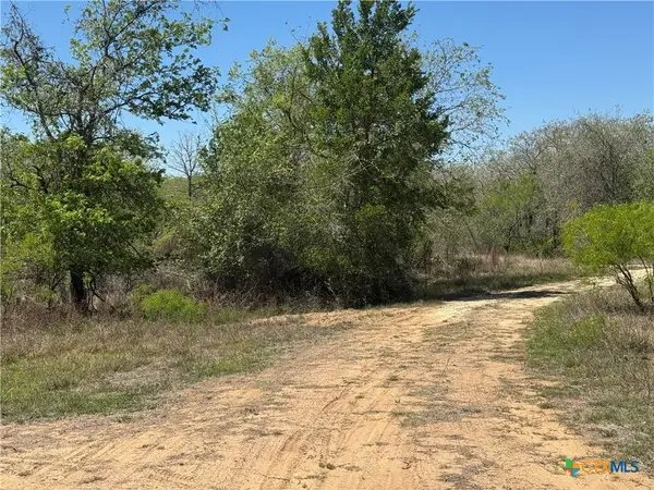 00 Dowdy Road, Kingsbury, TX 78638