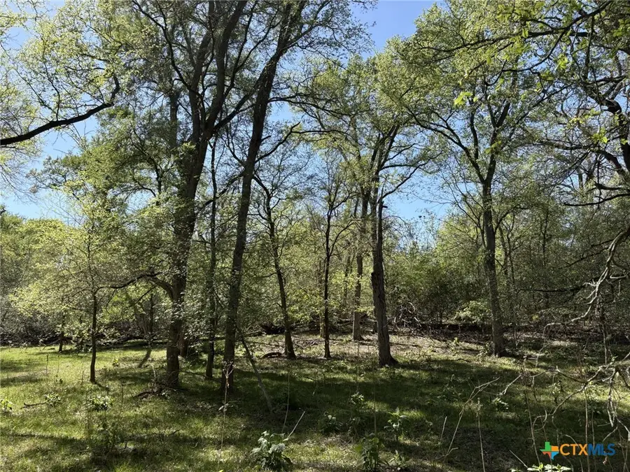 0 Anchor Ranch Loop, Flatonia, TX 78941 - #3