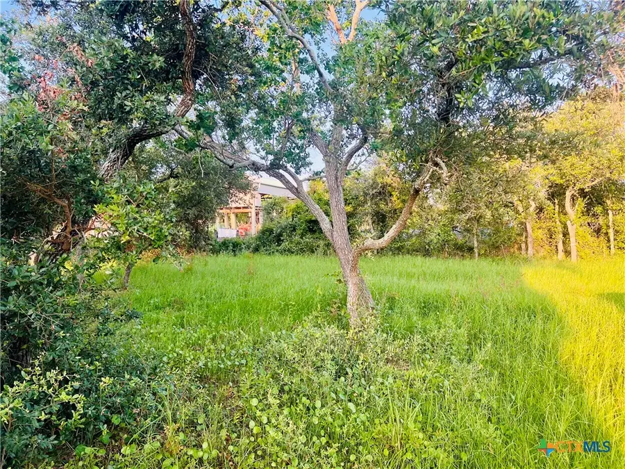 2232 W Monroe Avenue, Port Oconnor, TX 77982 - #3