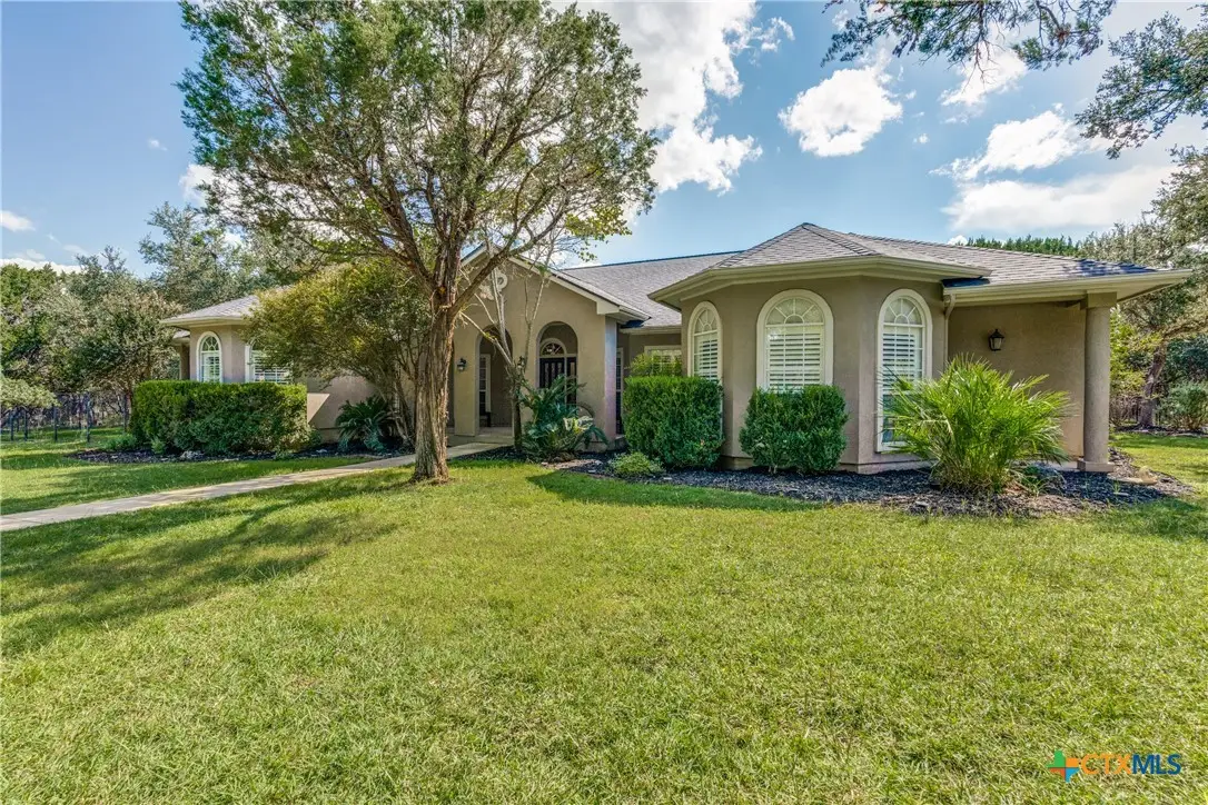 25867 Lewis Ranch Road, New Braunfels, TX 78132 - #1