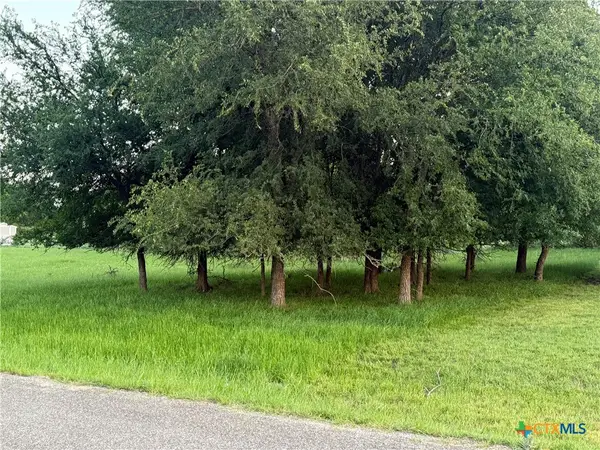 6 Blue Roan Drive, Morgans Point Resort, TX 78163