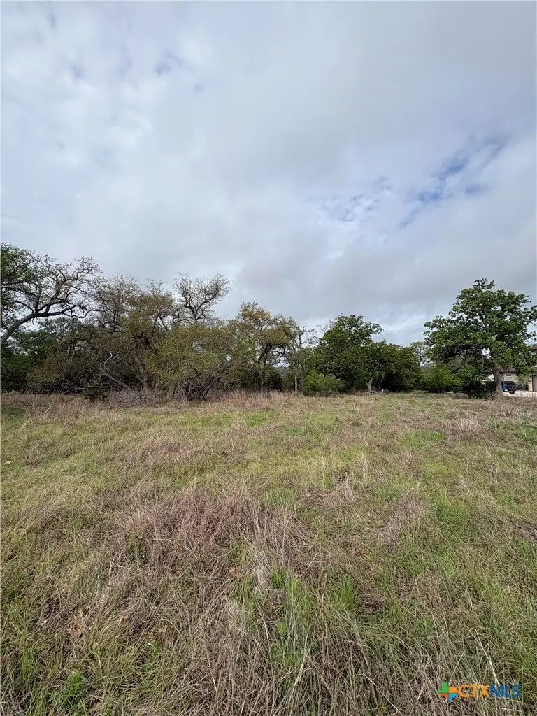 1251 Trailhead, New Braunfels, TX 78132 - #1