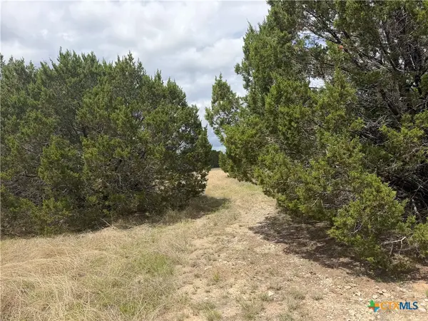 0000 Cr 142, Gatesville, TX 76528