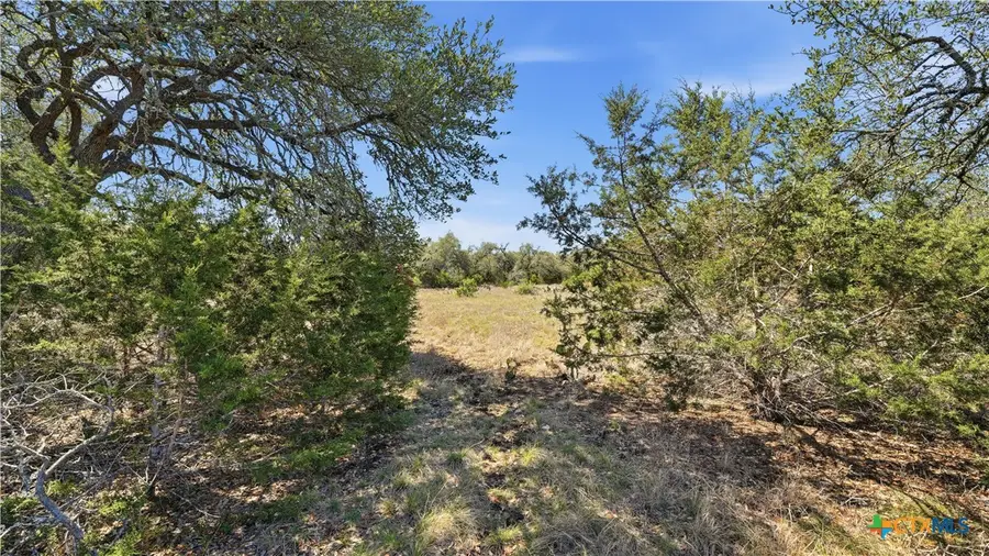 2124 Francisco Pass, Canyon Lake, TX 78133 - #2
